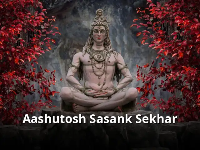 Aashutosh Sasank Sekhar