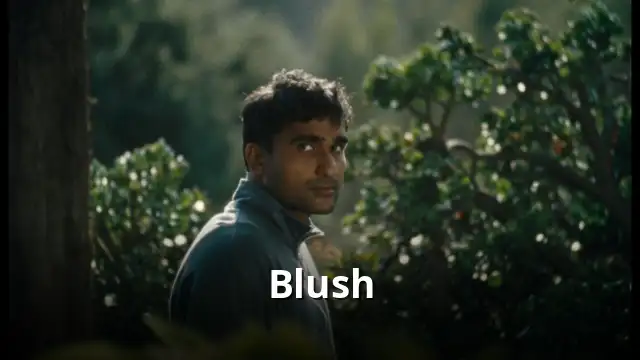 Blush