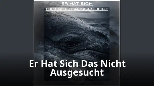 Er Hat Sich Das Nicht Ausgesucht