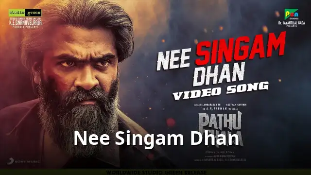 Nee Singam Dhan